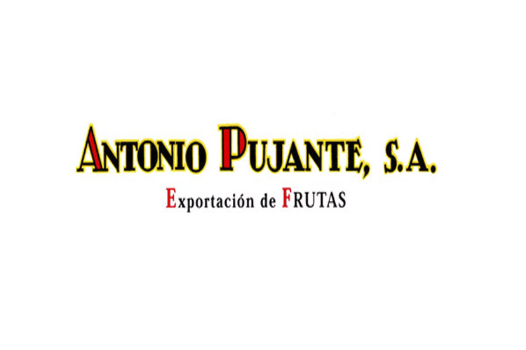Business - Antonio Pujante, S.A.