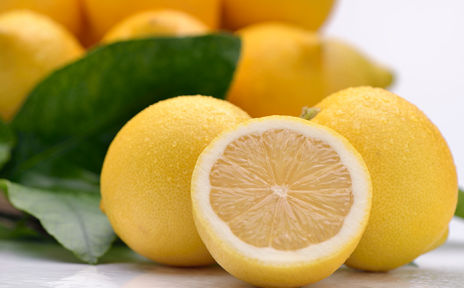 Organic Lemons and Grapefruit in Spain