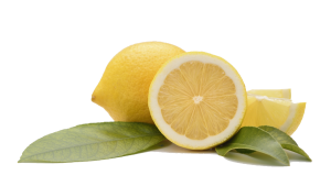 Fine lemon sliced