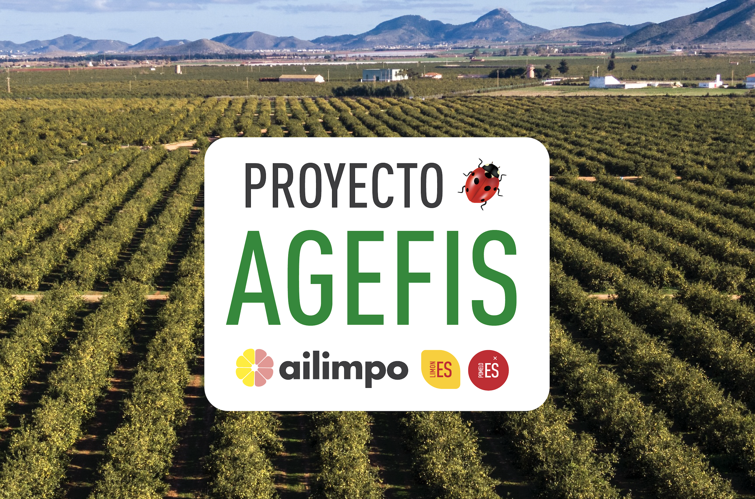 Semana 44. Situación Fitosanitaria en Limonero, Proyecto Piloto AGEFIS.
